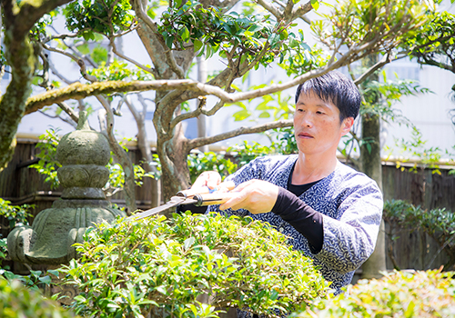 サービス内容